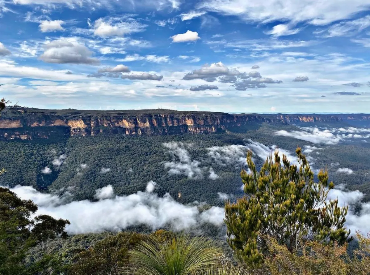 things to see in the blue mountains