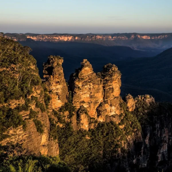 tour blue mountains