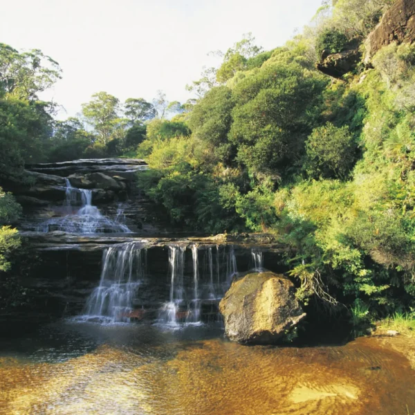 tours in the blue mountains