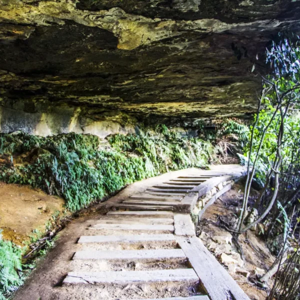 trips from sydney to blue mountains