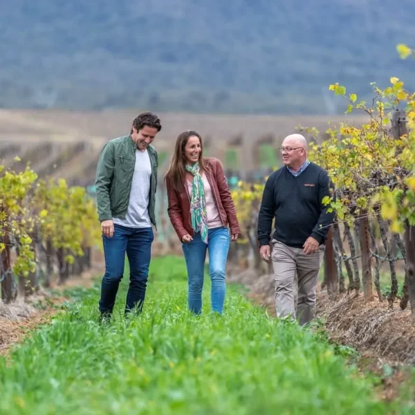 vinyard tours