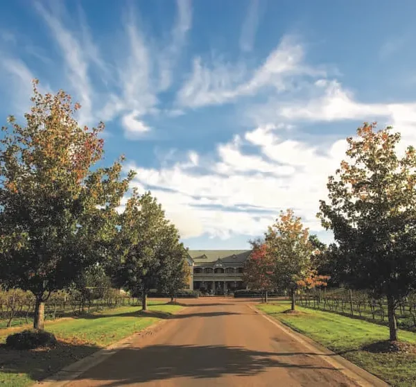 wine tours hunter valley