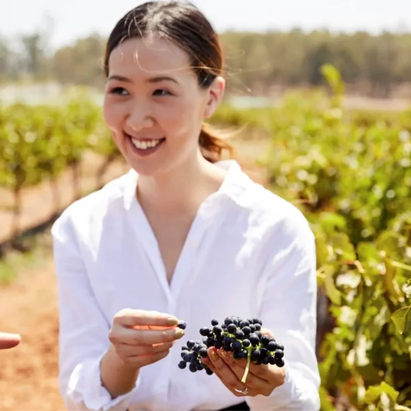 winery tours hunter valley